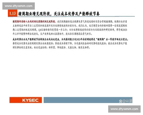 提升企业持续盈利能力的策略与稳定输出管理实践研究